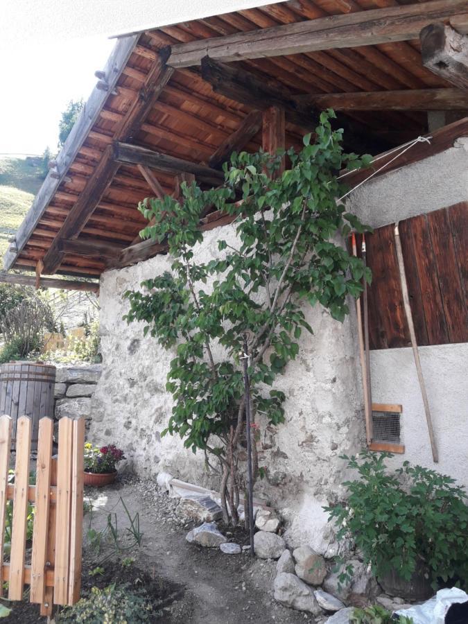 Villa Hofstatthof à Campo di Trens Extérieur photo