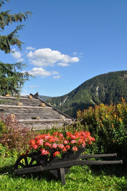 Villa Hofstatthof à Campo di Trens Extérieur photo